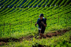 BIB: 
                            <button type="button" onclick="openModal(19160610)" class="btn btn-primary btn-sm float-right btn-popup" data-toggle="modal" data-target=".modal-high-quality">
                        <i class="fas fa-shopping-cart"></i> Add to Cart
                    </button>
                                            <button type="button" onclick="isThisMe(19160610, true)" class="btn btn-success btn-sm float-right btn-popup btn-isme hidden" data-toggle="tooltip" data-placement="bottom" title="นี่คือรูปของคุณใช่ไหม คลิกที่นี่เพื่อเอาเข้าอัลบั้ม">
                        <i class="fas fa-plus"></i> Add to album
                    </button>
                    <button type="button" onclick="isThisMe(19160610, false)" class="btn btn-warning btn-sm float-right btn-popup btn-isnotme hidden">
                        <i class="fas fa-ban"></i> Remove from album
                    </button>